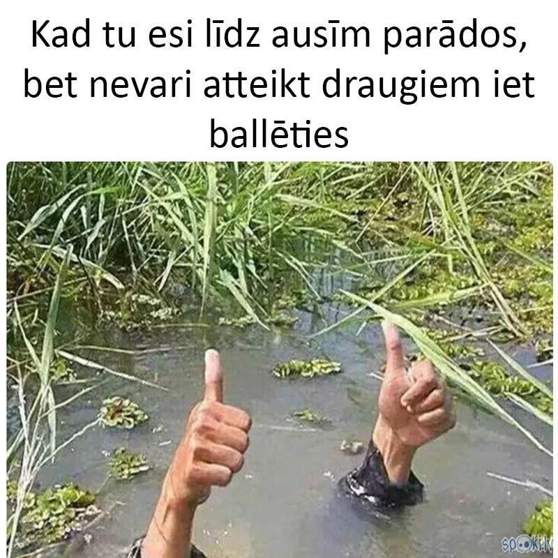 Autors: matilde 18 patiesības par universitāti, kas liks tev smieties un tad RAUDĀT