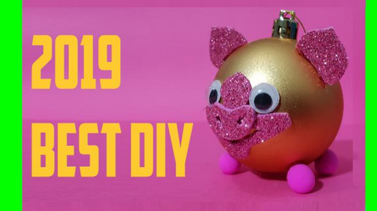 DIY pig trend 2019 new year by Devlin Fox