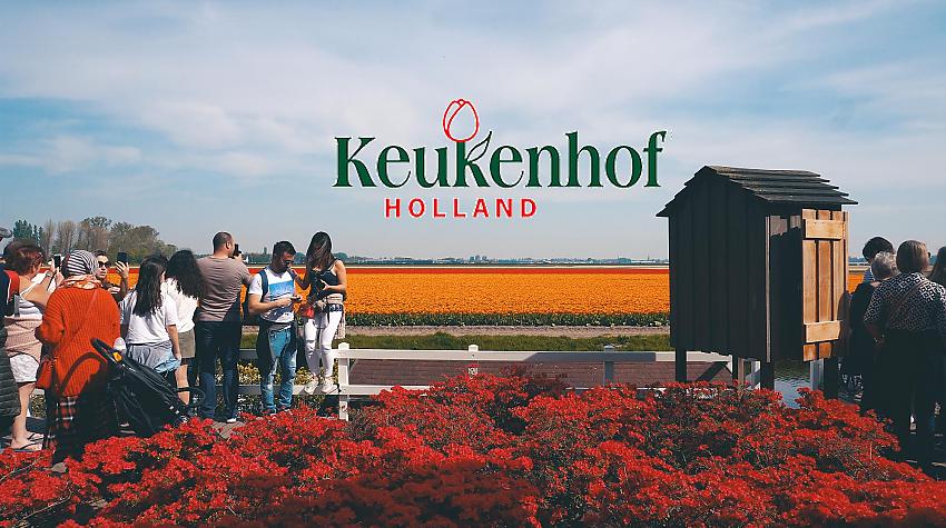 Keukenhof Lisse Flower Festival Puķu festivāls Holandē