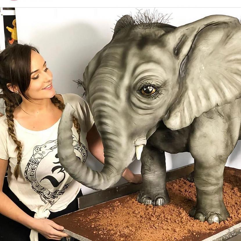 Reālistiskas 3D kūkas, kuras autore ir Mollija Robbina