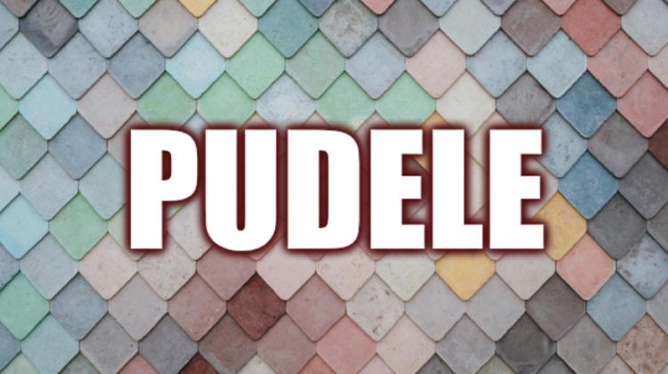 Tests: Pie kādas dzimtes latviešu valodā pieder dotais lietvārds?