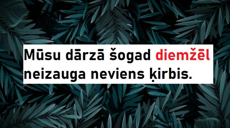 Tests: Vai šis vārds jāliek komatos?