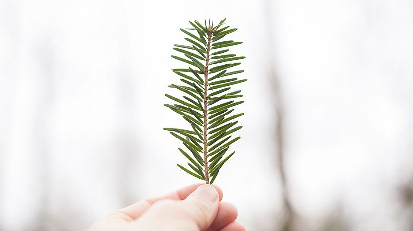 quotJa tu sāc strādāt jaunā... Autors: Lestets Neētiski triki un paņēmieni, kas pārsteidzošā kārtā darbojas