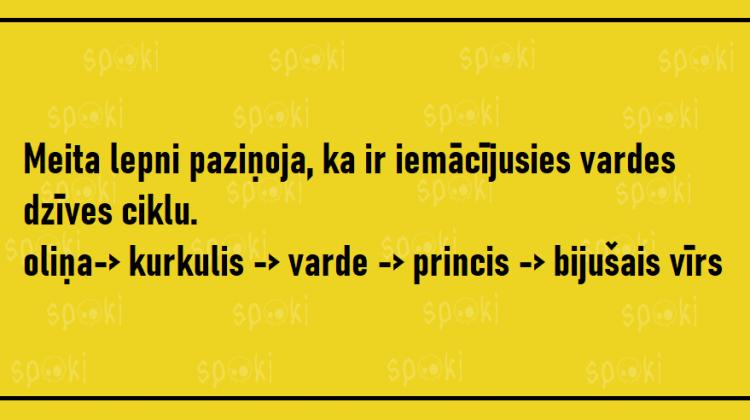 Jociņu izlase garastāvokļa uzlabošanai (18 attēli)