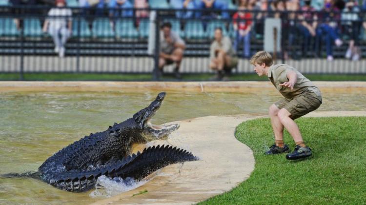 VIDEO ⟩ Stīva Ērvina dēlam Austrālijas zoodārzā mēģinājis uzbrukt krokodils