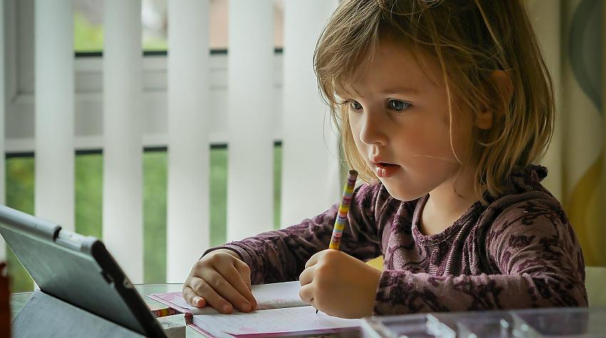 Tests: Cik punktus vari iegūt šajā 4. klases ieskaitē dabaszinībās?