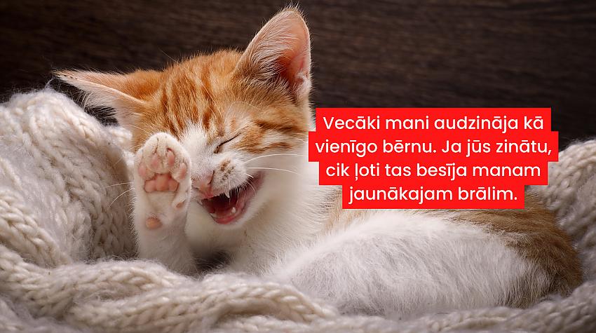 20 melni un sarkastiski jociņi garastāvokļa uzlabošanai