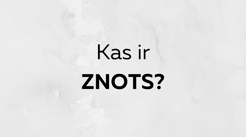 Tests: Vai tu zini, ko latviešu valodā nozīmē šie 10 vārdi?