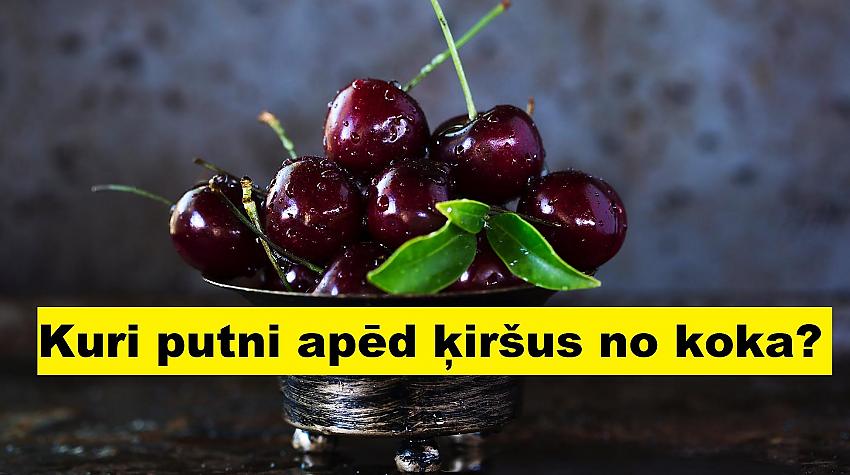 Tests: Ja vari iegūt šajā testā ne vairāk kā 10 punktus, tad tu esi pilsētnieks