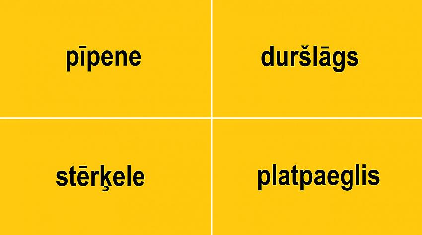 Tests: Vai tu zini, ko latviešu valodā nozīmē šie vārdi?