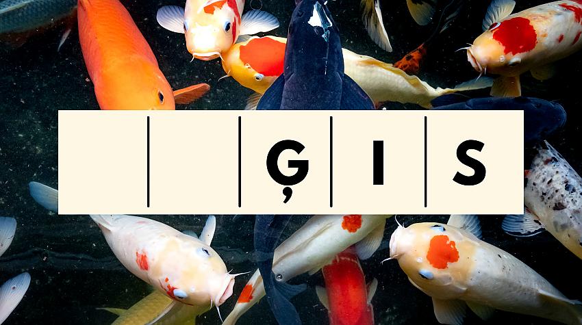Tests: Vai tu zini, ar kādiem burtiem sākas šo zivju nosaukumi?