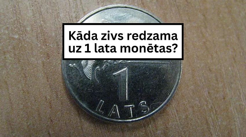 Tests: Ja neesi muļķis, tad varēsi atbildēt pareizi uz vismaz 7 jautājumiem