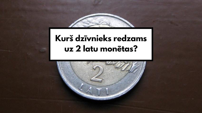 Tests: Ja neesi muļķis, tad varēsi atbildēt pareizi uz vismaz 7 jautājumiem