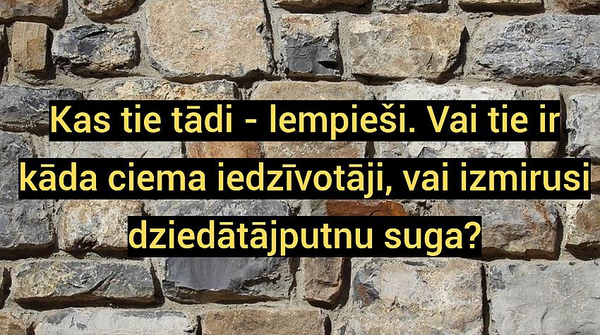 Īso vārdu un arī seno vārdu tests: 😉 Vai tu zini, kas tas ir? 24. daļa