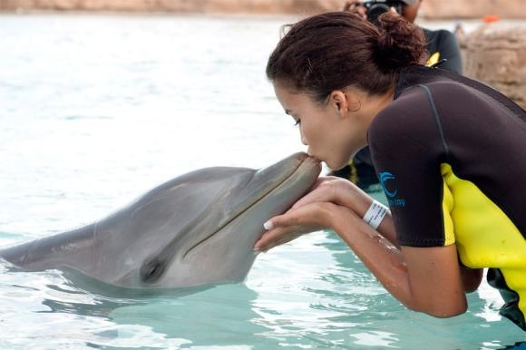 Miss Šveice skūpsta delfīnu... Autors: vitux Skūpstu kolekcija