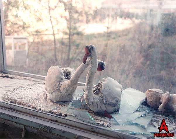 Černobiļa UkrainaKijevas... Autors: coldasice pamestas pilsētas-foto galerija