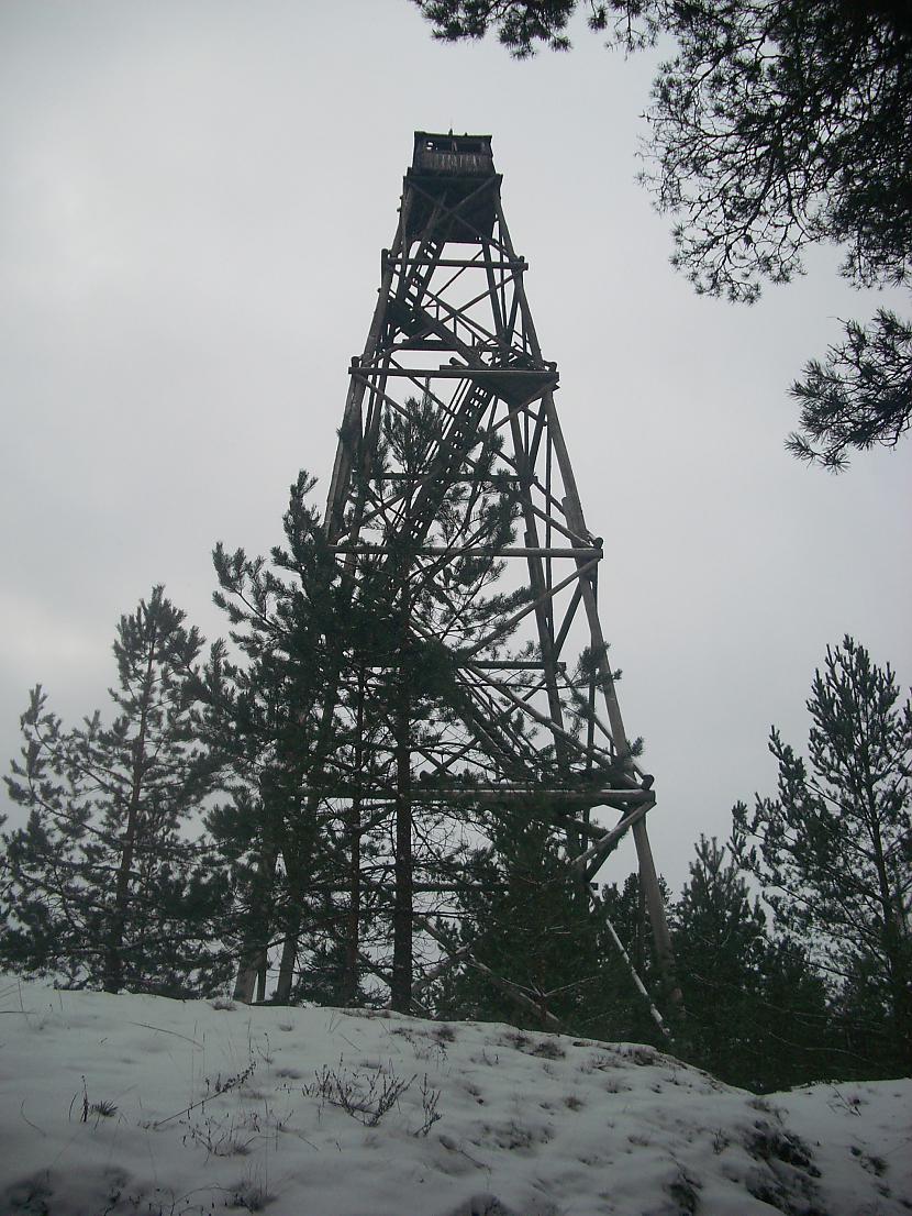 Meža vidū nekurienē Autors: Fosilija Geocaching