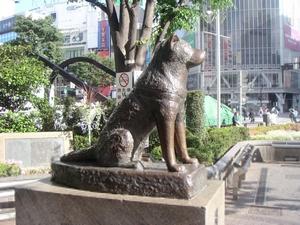 Japānā uzceltais piemineklis... Autors: justsomeguyo hachiko a dog's story