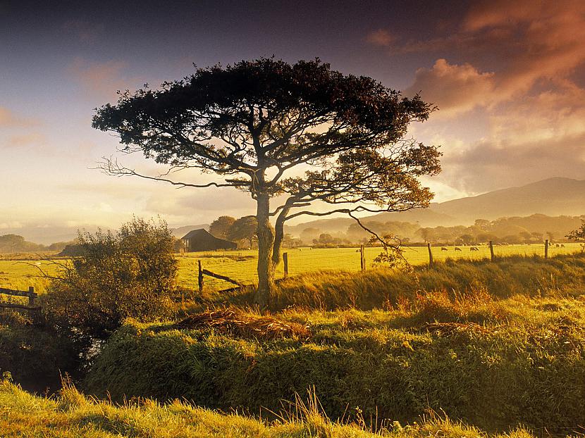 Scenic Near Harlech North... Autors: dzelksnis ceļojums pa eiropu