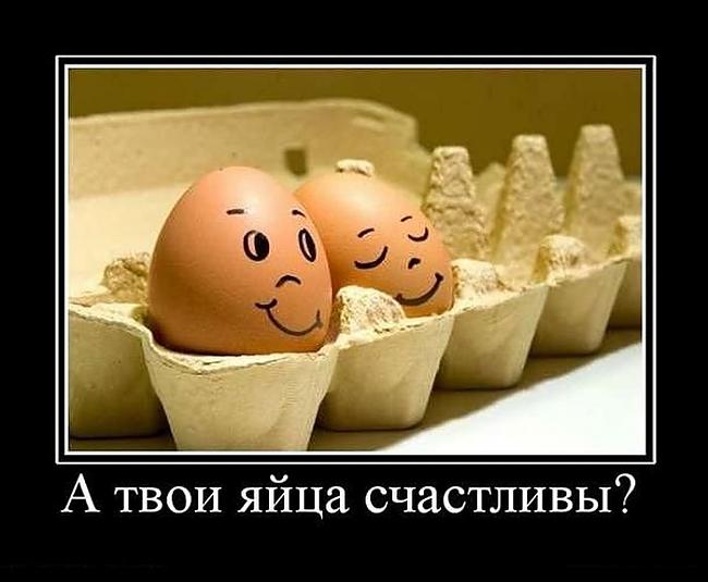 Un tavas olas ir laimīgas  Autors: dea Melnie Rāmji 2