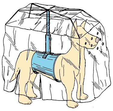 Suņu lietussargs Bildē viss... Autors: kicifans Jocīgie izgudrojumi