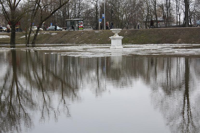  Autors: PeleMele Plūdi Jelgavā