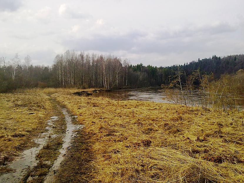  Autors: Pulkvede Bikiņj gar Gauju pabraukājām