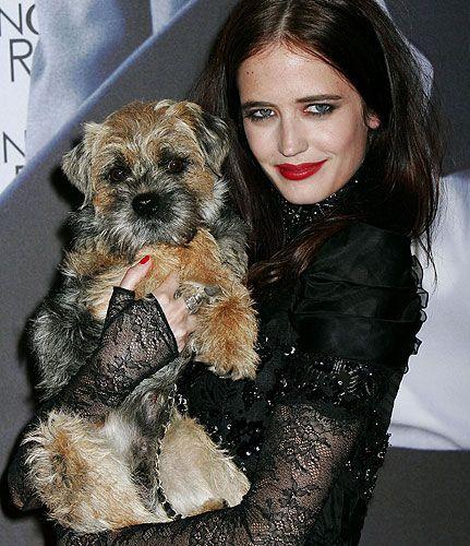  Autors: SamanthaJones Eva Green