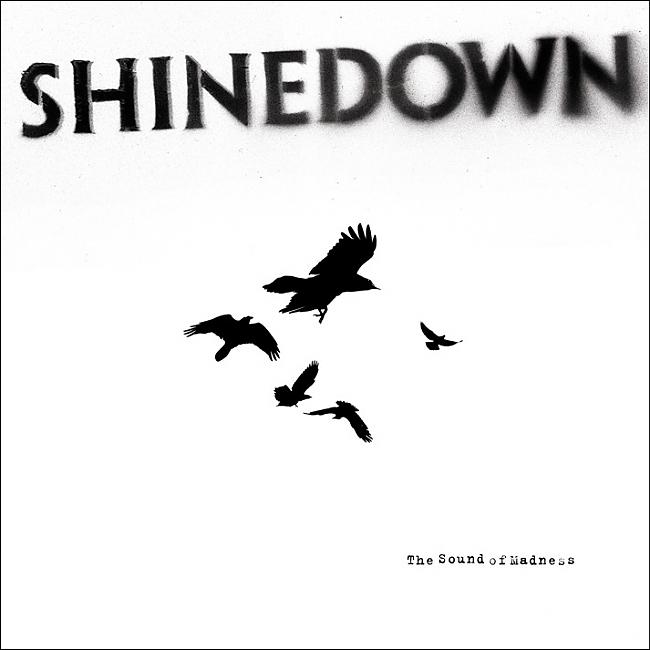 shinedown alternative/lil bit pop