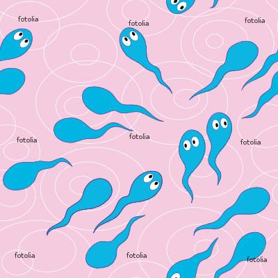 Spermatozoīds ir pati mazākā... Autors: kicitis Interesanti...