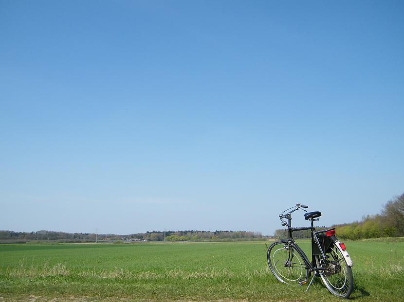  Autors: spainels Velosipēds un veloceliņš