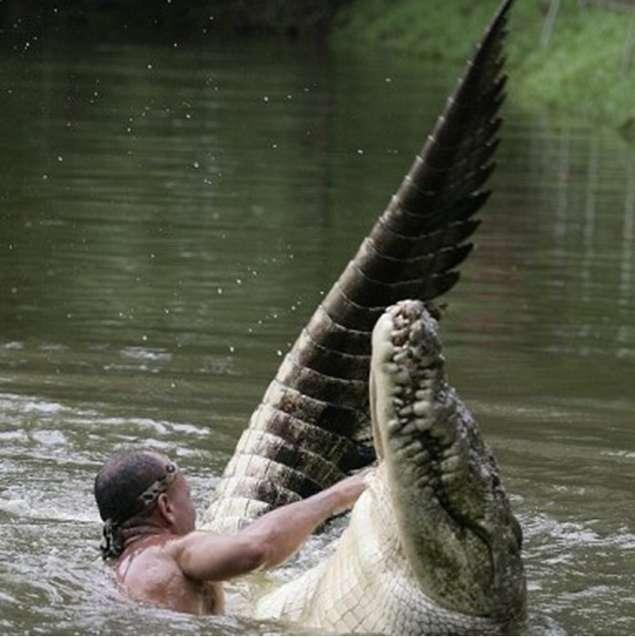 Cilvēks pret krokodilu Mazliet... Autors: rNcs Dīvainākās cīņas starp cilvēkiem un dzīvniekiem.