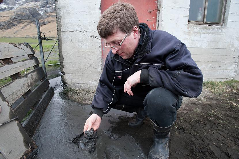 A farmer checks muddy volcanic... Autors: ixtys Islandes Eyjafjallajokull volcano