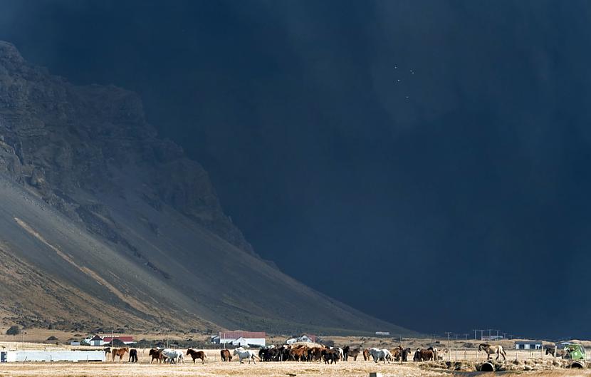 Horses graze in a field near... Autors: ixtys Islandes Eyjafjallajokull volcano