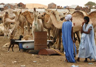 20  Nouakchott Mauritania Autors: KingOfTheSpokiLand Pasaules 25 netīrākās pilsētas