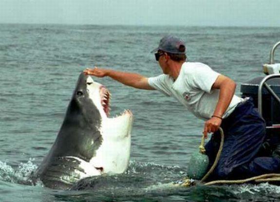 Arnolds Pointers2 gadus... Autors: Sportsmen Haizivs un cilvēka mīlestība.