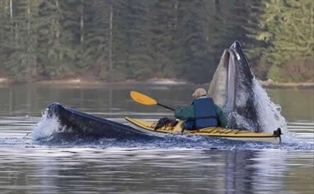 tam čalim canoe uzbrūk... Autors: Dreimanis89 Bildes nedēļas sākumam.