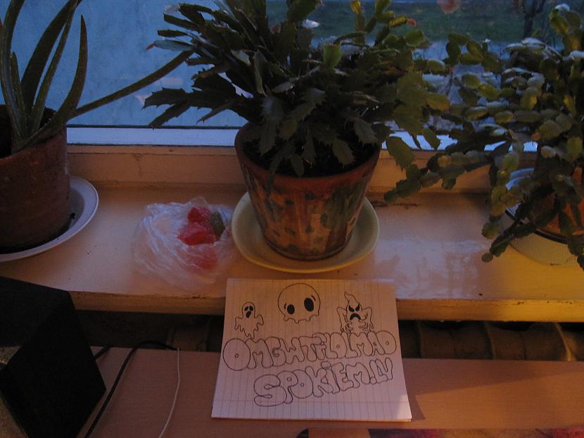 Tas ir ziemassvētku kaktuss  Autors: OMGWTFLOLMAO Kaktuss ar marmelādi.