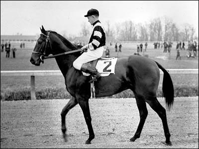 War Admiral Leģendārā Man O039... Autors: kyra Famous Horses 2. Legendary Racehorses.