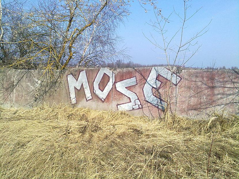  Autors: Fosilija Graffiti (52)