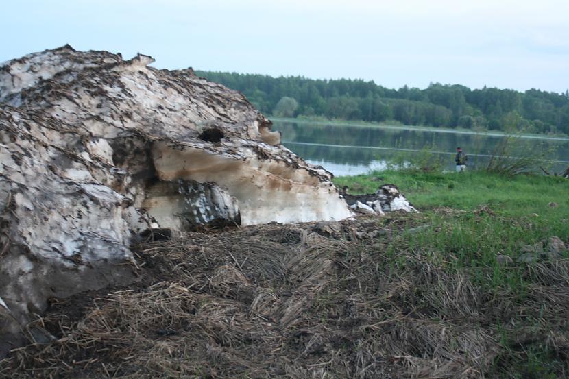  Autors: cheryy It kā jau vasara sākusies bet nu...