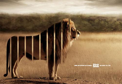 Zoo Safari Lion Autors: magenta 160 kreatīvas un uzmanību cienīgas reklāmas no visas pas