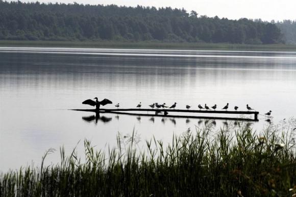 Mazūras ezeru apgabals Polijā Autors: Burns Dabas brīnumi.