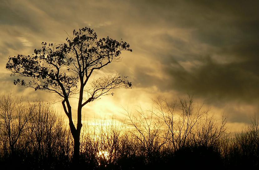  Autors: garfilds100 Clouds......