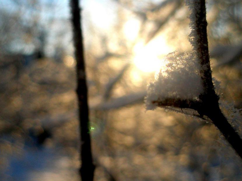  Autors: overtherainbow Nature