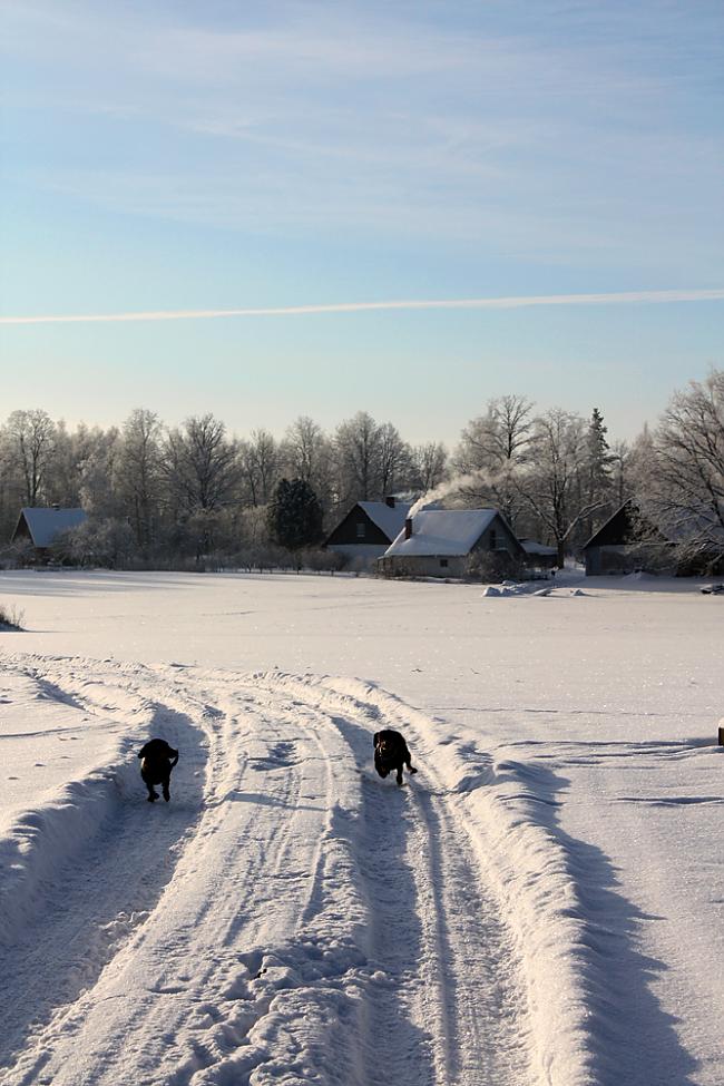  Autors: edelveis Ziemas atmiņas