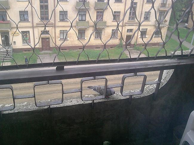 Kādu dienu māsa uz balkona... Autors: MilfHunter Izdzīvo stiprākais. Traģēdija.