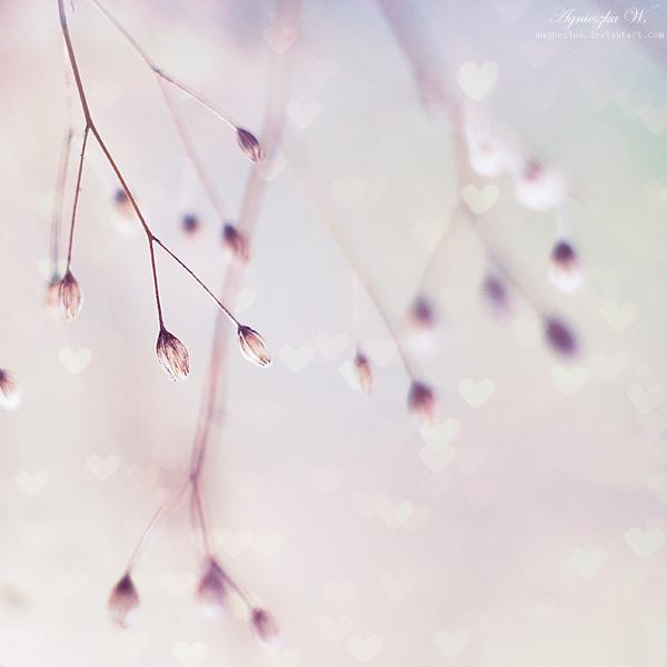 Ja ejot uz mērķi sāksi... Autors: anny Beautiful, calm, soft and dreamy photography