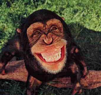 1000000  smilePanākts... Autors: dzekinshjanis Paris Hilton VS monkey