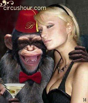 Uzvarēja draudzība  Autors: dzekinshjanis Paris Hilton VS monkey